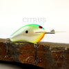 PH Custom Lures Ledge P 12 in Citrus