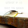 PH Custom Lures Ledge P 16 in Hot TN Shad
