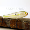PH Custom Lures  Walkin P In Sexy Shad